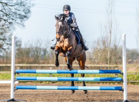 Equine Studies student showjumping outside the Equestrian Centre