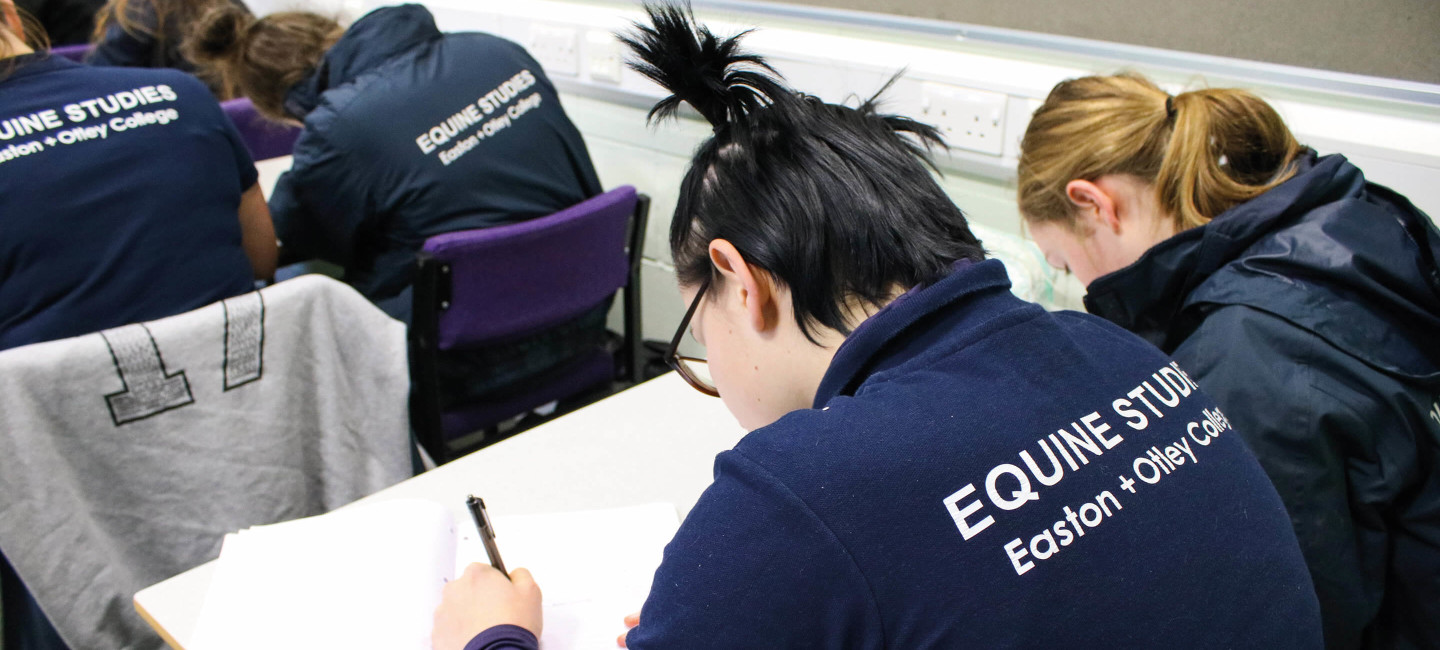 further education student finance