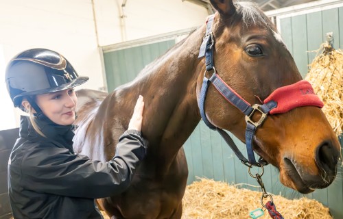 Easton College Various Nov 2024 92