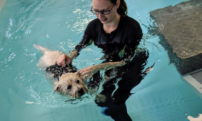 hydrotherapy for dogs at easton college